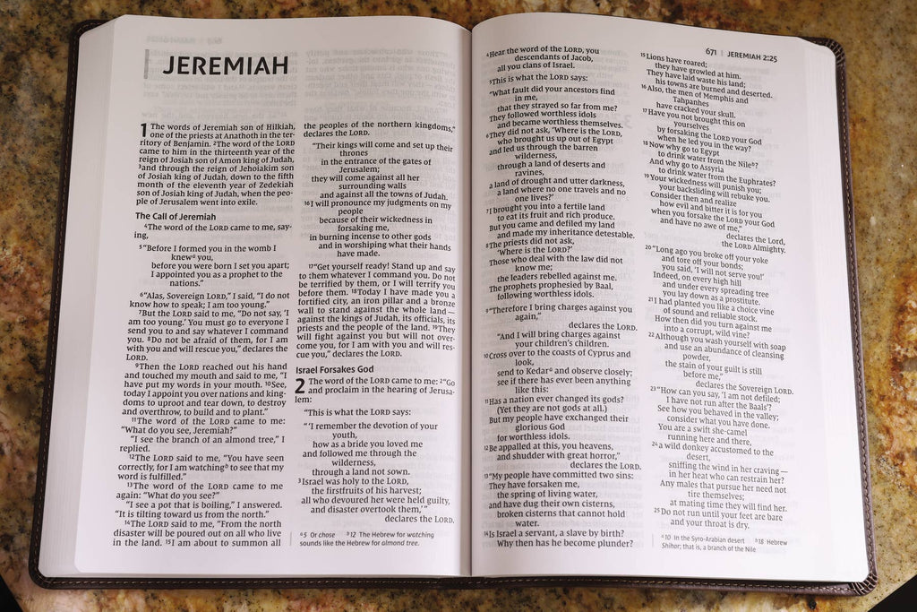 NIV Value Thinline Bible, Large Print, Leathersoft, Brown