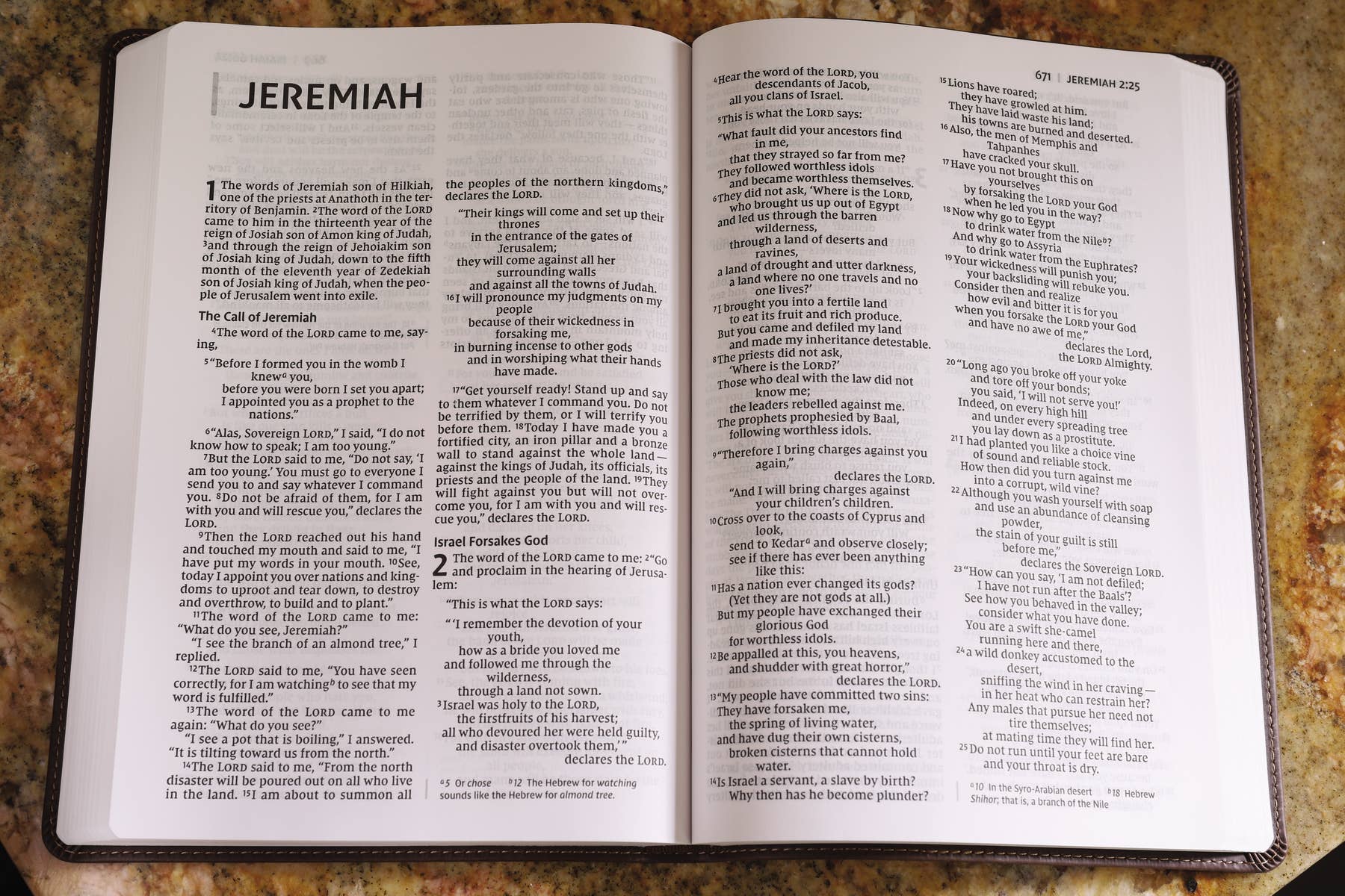 NIV Value Thinline Bible, Large Print, Leathersoft, Brown