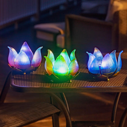 Solar Glass Tulip