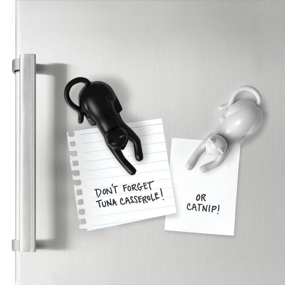 Magneticats Cat Fridge Magnets Set of 4