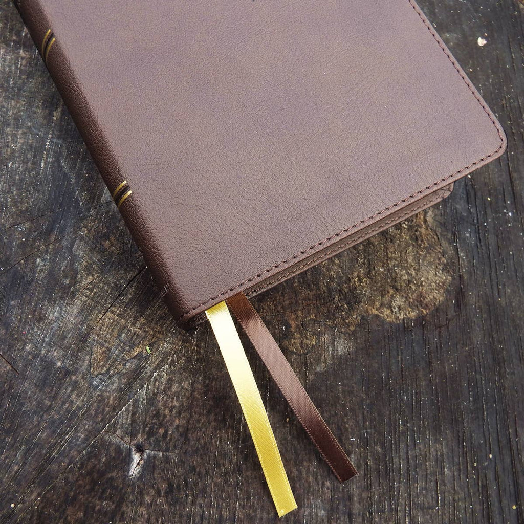 NIV Larger Print Compact Bible, Leathersoft, Brown