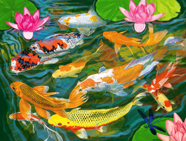 Koi Pond Puzzle