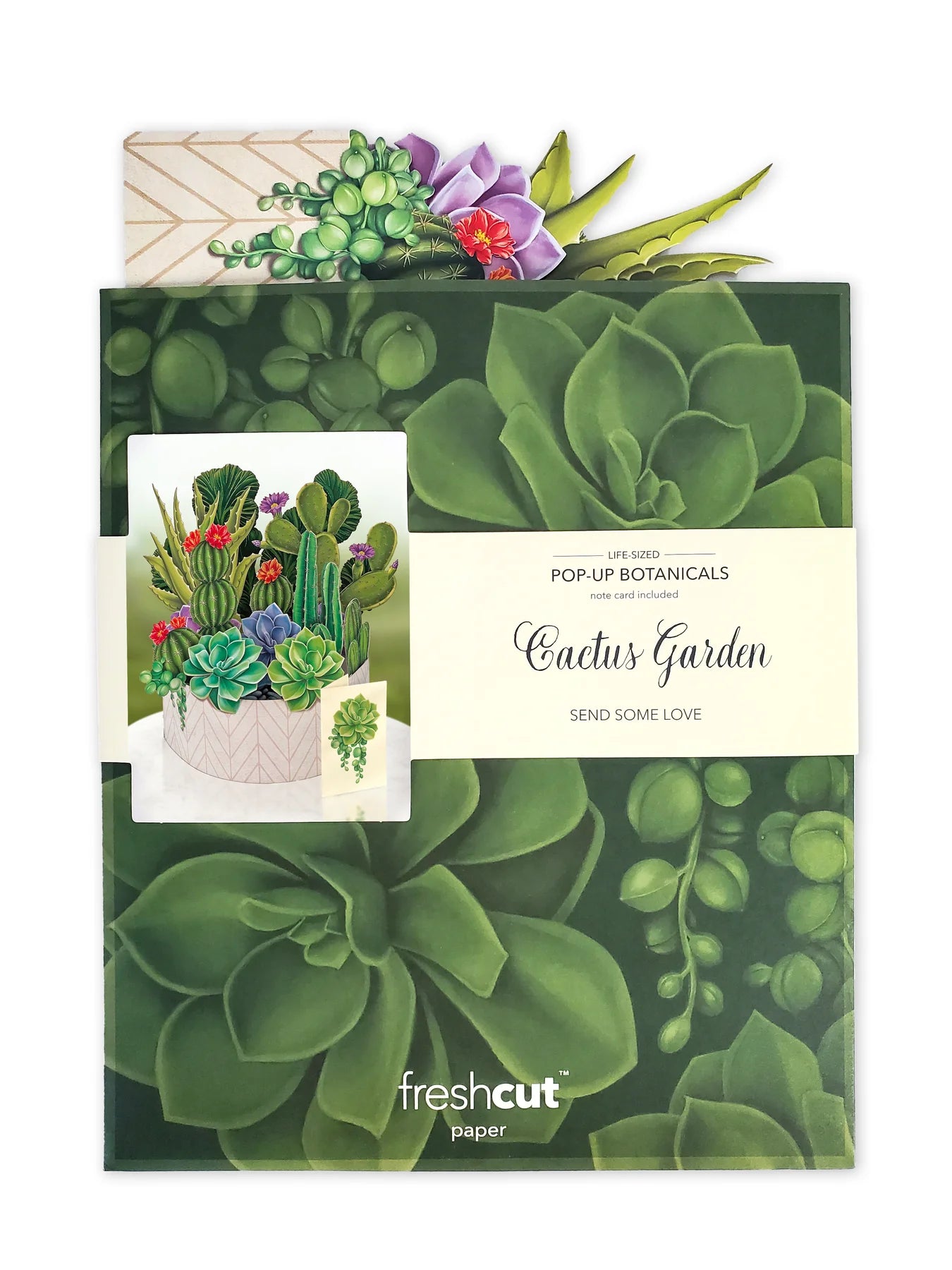 Cactus Garden FreshCut Paper - Pop Up Houseplant