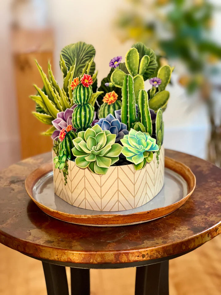 Cactus Garden FreshCut Paper - Pop Up Houseplant