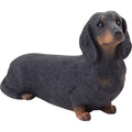 Dachshund Mid Size Sculpture: Black