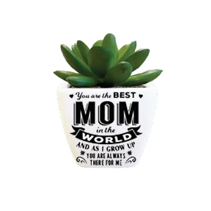 You Are The Best Mom in the World ...Sentiment Succulents