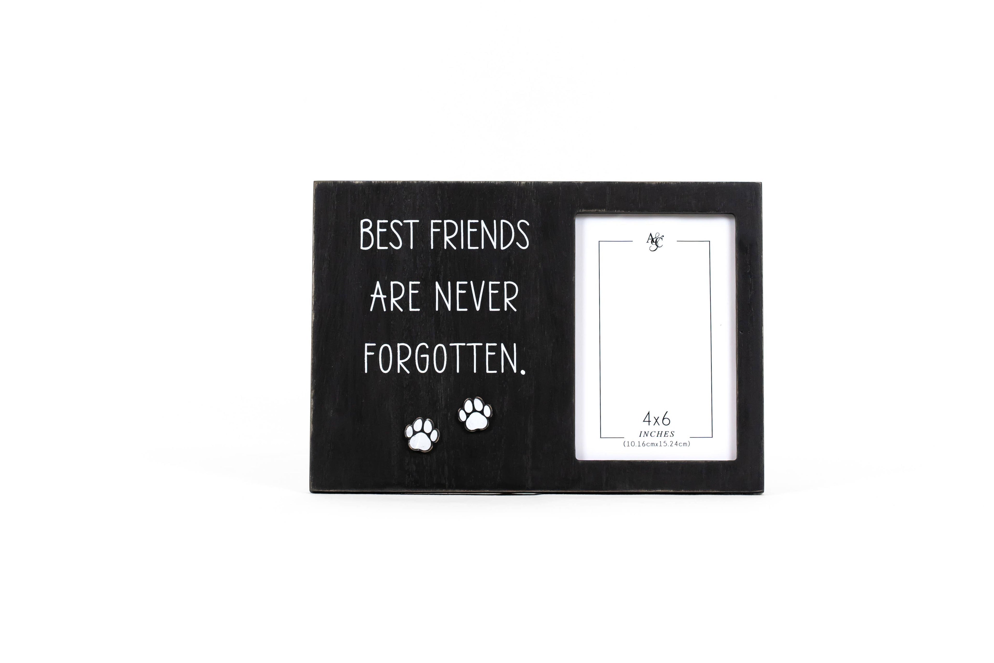 Best Friends Are Never Forgotten Picture Frame