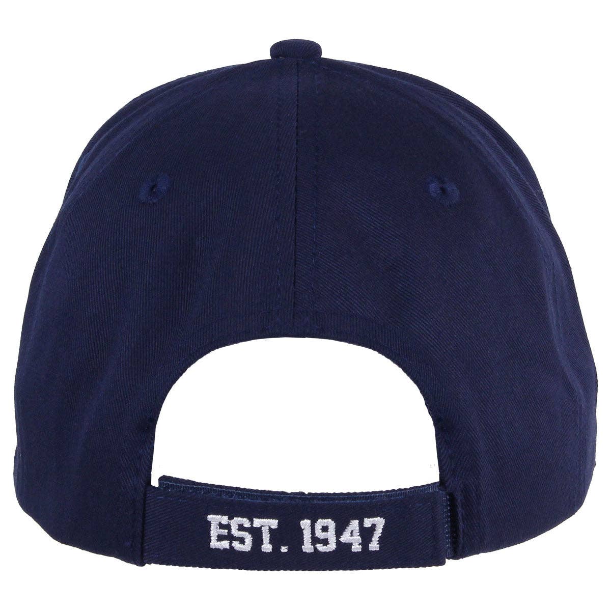 U.S. Air Force Logo Twill Hat