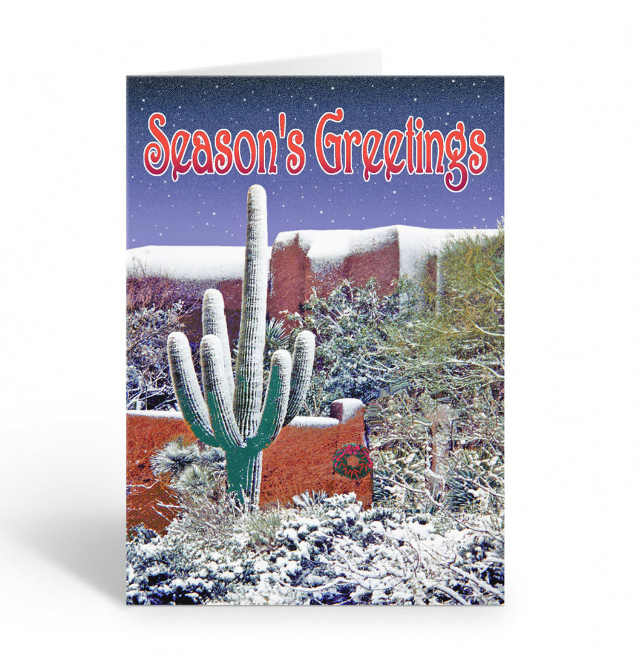 Holiday in the Desert Boxed Christmas Cards