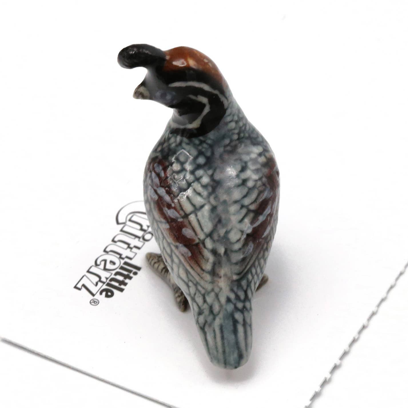 Sage Gambel's Quail Porcelain Decorative Figurine Miniature