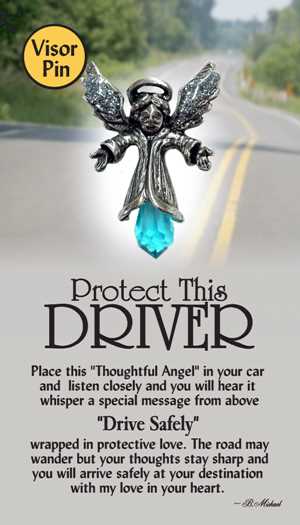 Protect This Driver Lapel/Visor Pin