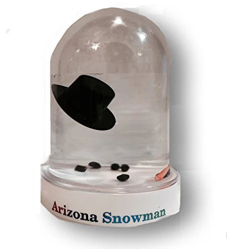 Arizona Snowman Waterglobe