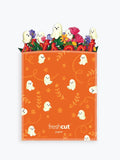 Ghostly Greetings 20 Inch According Greeting Card