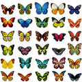 Magnetic Butterfly Bookmarks