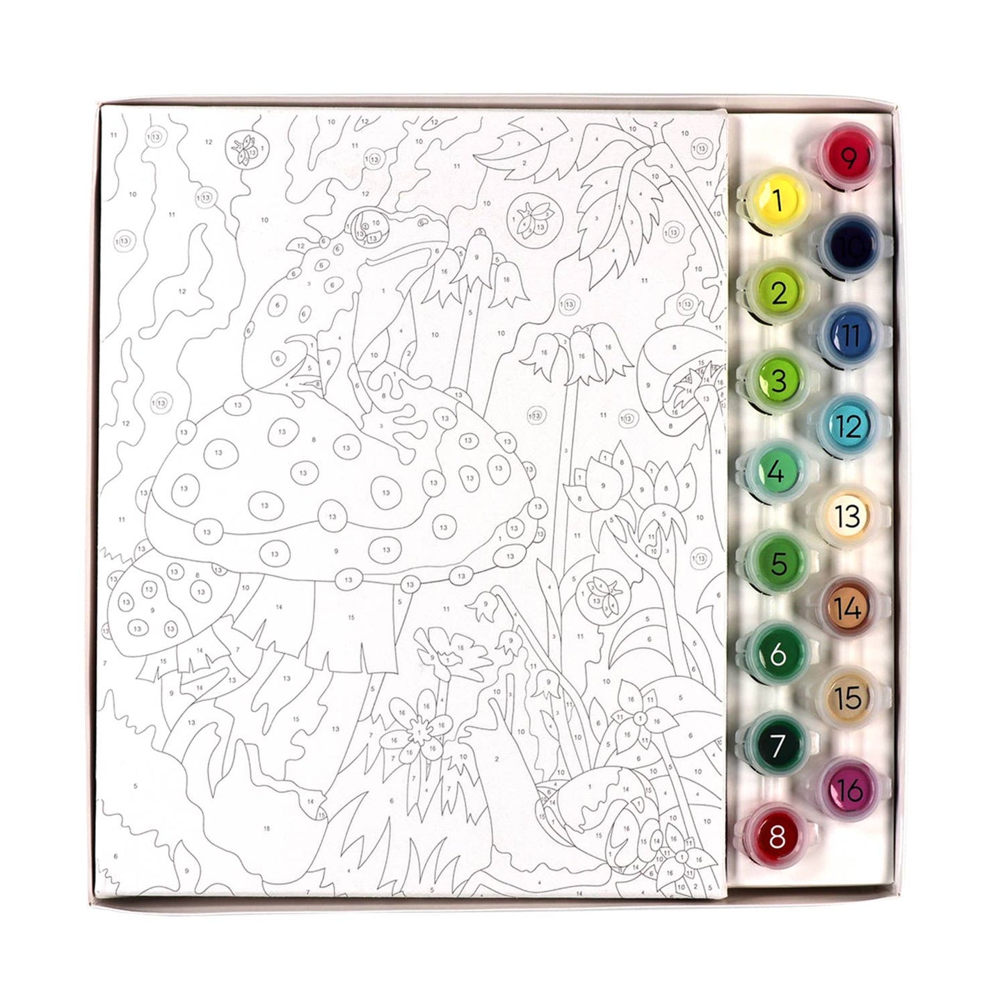 Paint By Numbers Mushroom Forest