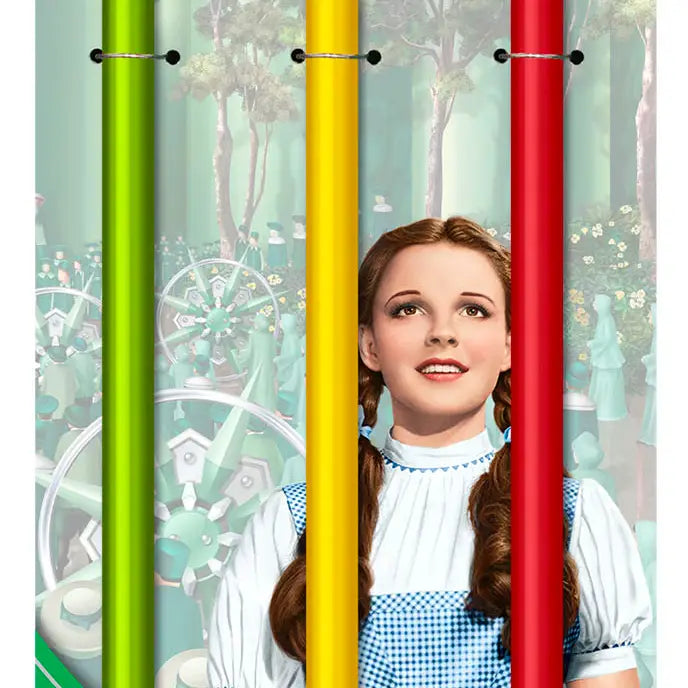 Wizard of Oz Straw Topper Set/3