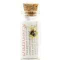 January/Garnet Birthstone Bottle Necklace