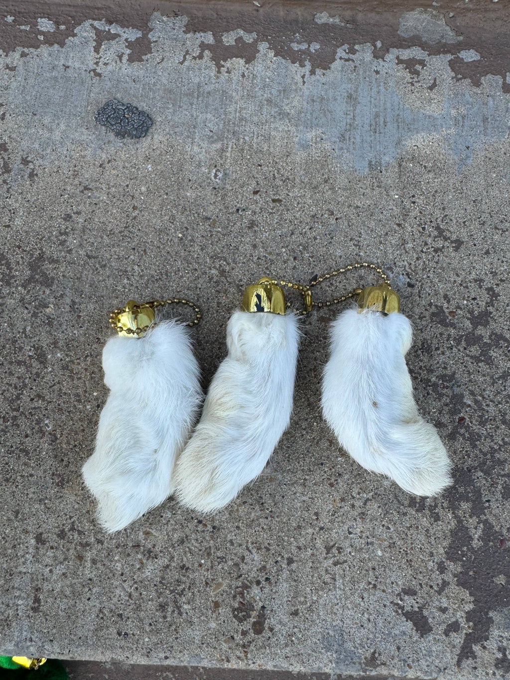 Lucky Rabbit foot - Genuine : Red