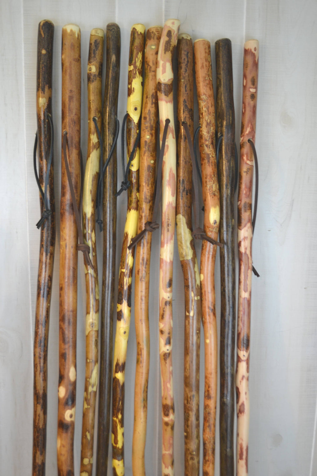 Adult Hiking Stick 54"