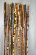 Adult Hiking Stick 54"