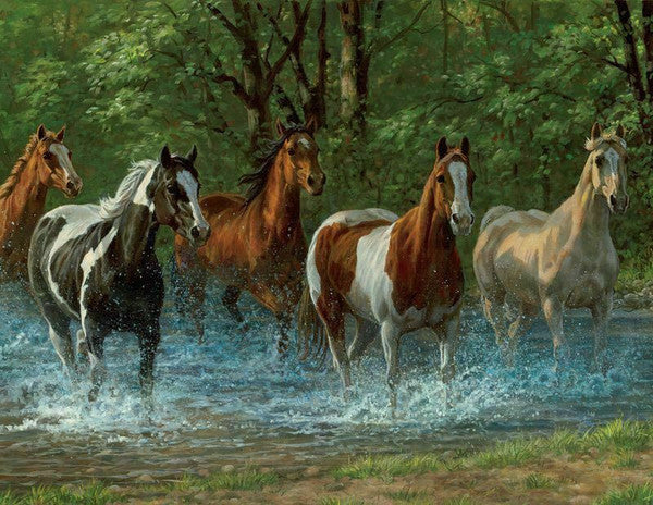 Summer Creek Puzzle