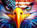 Springbok Puzzle - Amerian Eagle 1000 Piece Jigsaw Puzzle
