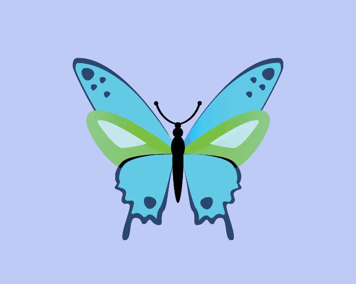 Butterfly Paint by Numbers Kit