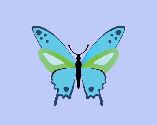 Butterfly Paint by Numbers Kit