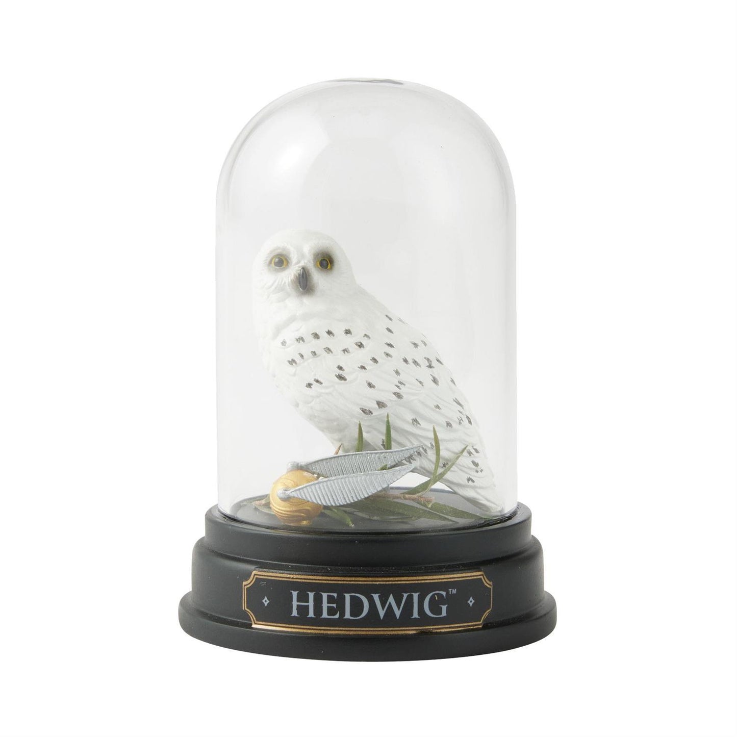 Hedwig Curiosity Cloche