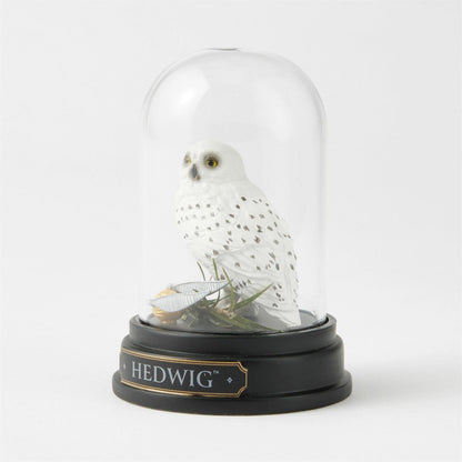 Hedwig Curiosity Cloche