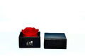 Single Preserved Red Rose in a Hat Box