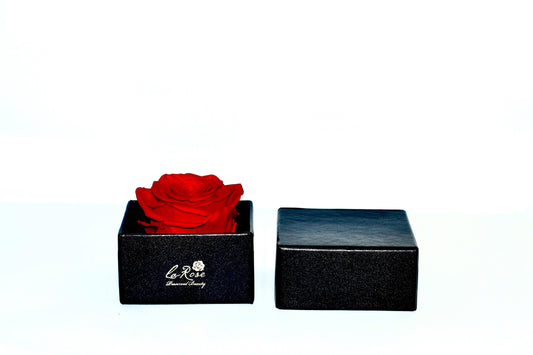 La Rose Preserved Beauty - Single Preserved Red Rose in a Hat Box