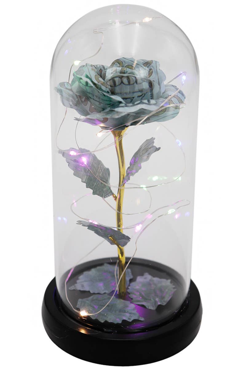 Money Rose Glass Dome LED Light Stand: $100 Bill