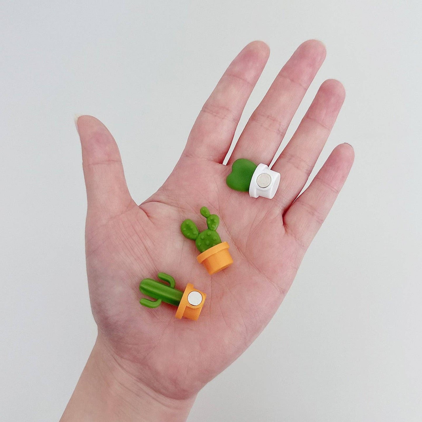 Refrigerator Magnets for Kitchen: Mini Cactus