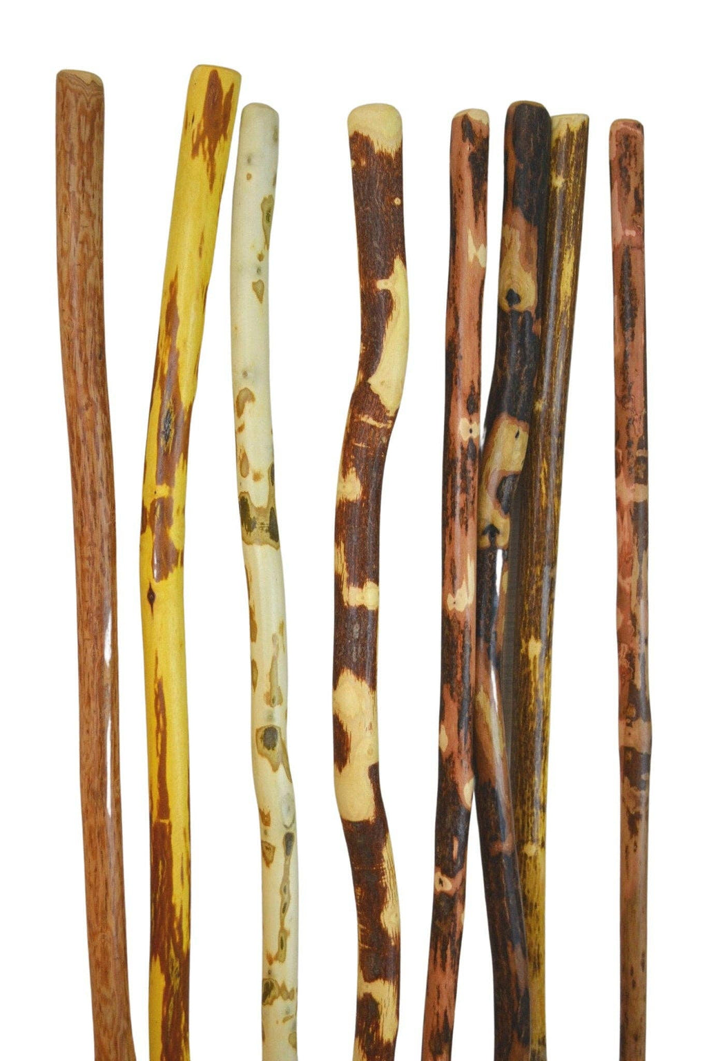 Walking Stick/Staff 56"