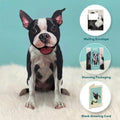 Boston Terrier FreshCut Paper - Pop Up Pet Card