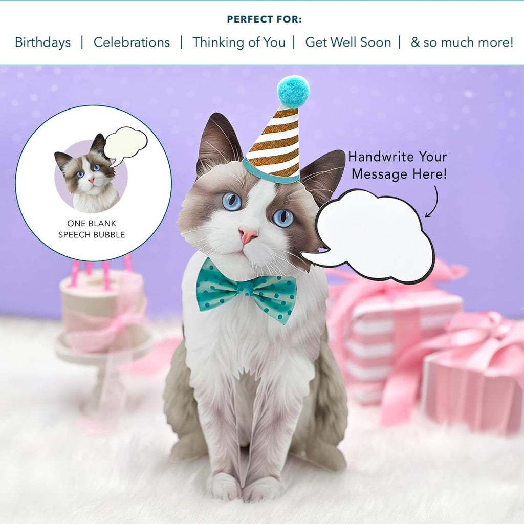Ragdoll Cat FreshCut Paper - Pop Up Pet Card