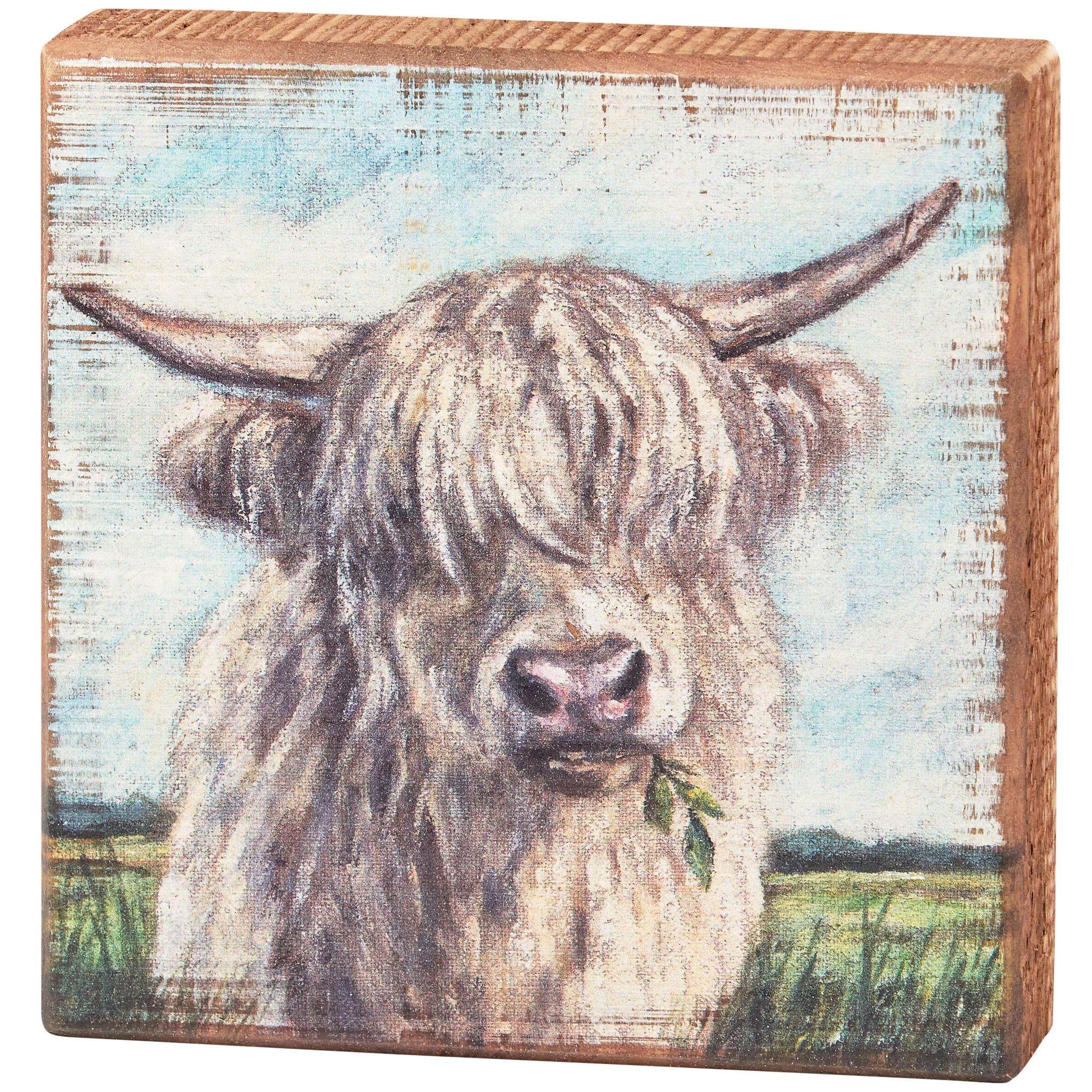 Highland Cow Block Sign