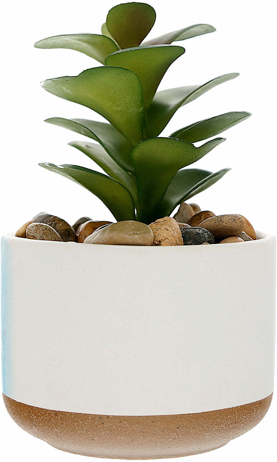 Loved Artificial Potted Plant