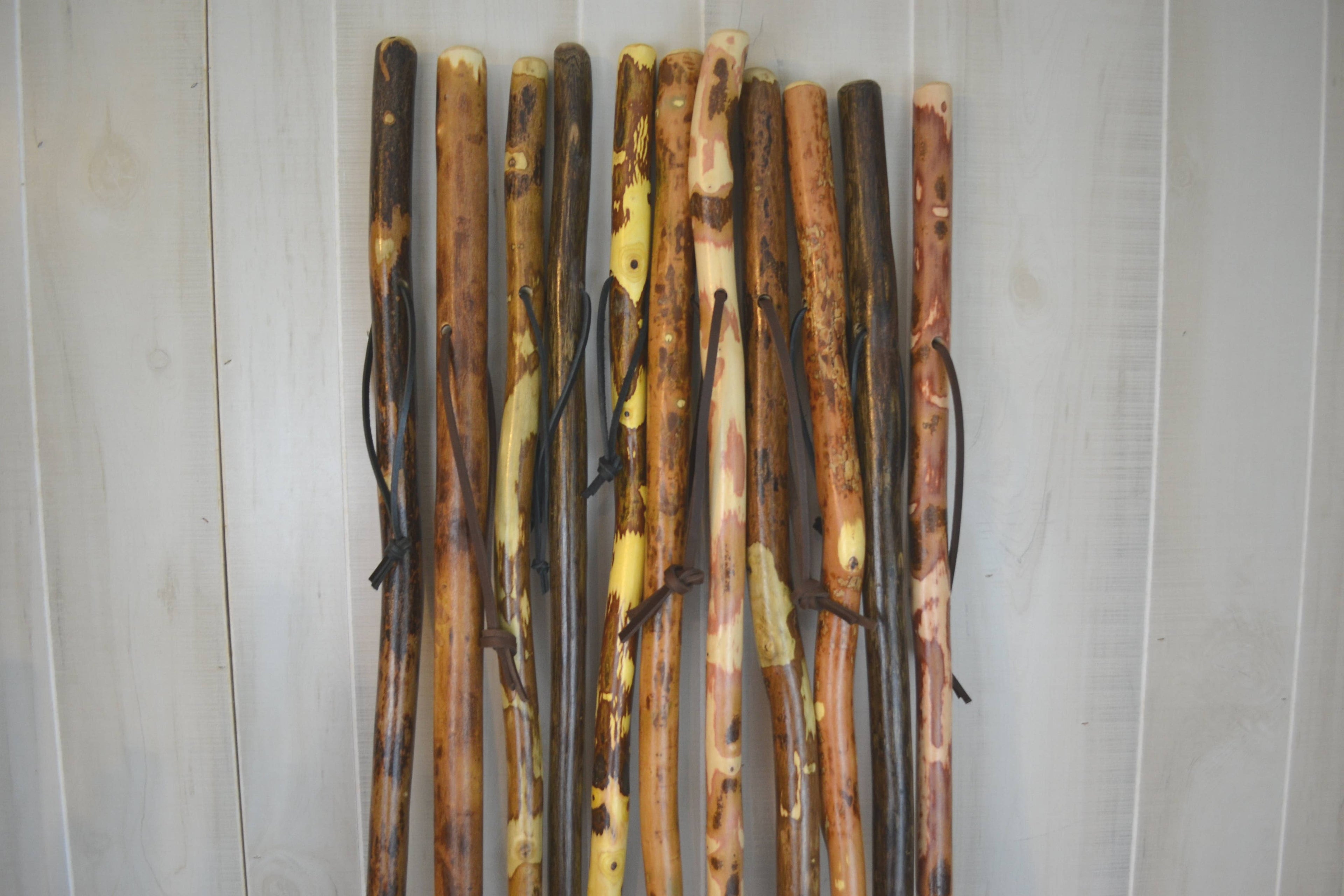 Adult Hiking Stick 54"