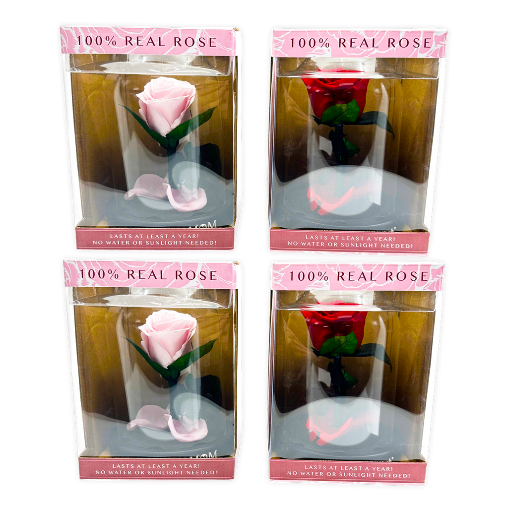 Real JUMBO Preserved Rose Keepsake Glass Gift