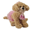 Ballerina Scruffy Dog