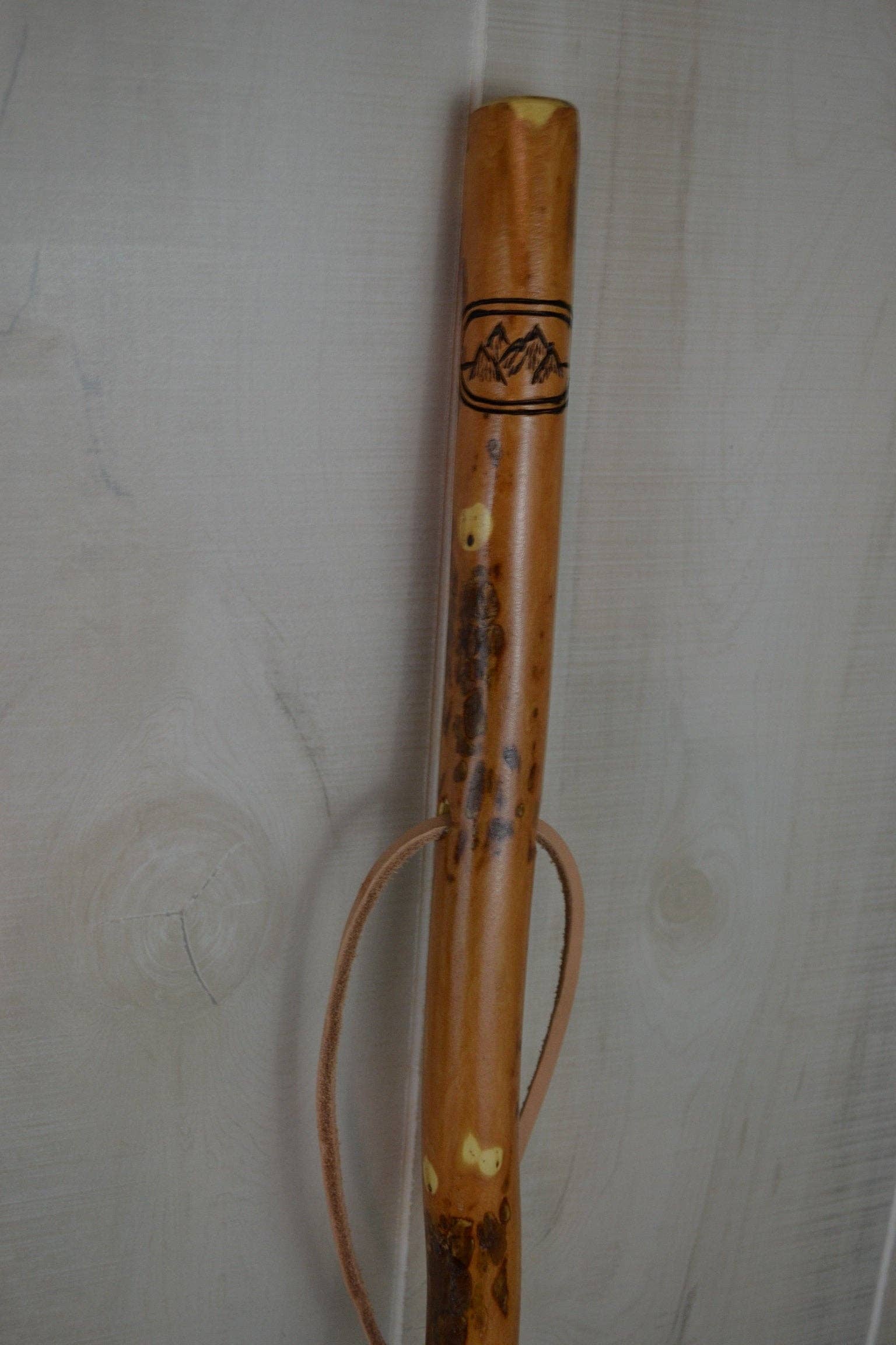 Outdoor Scenery Walking Stick