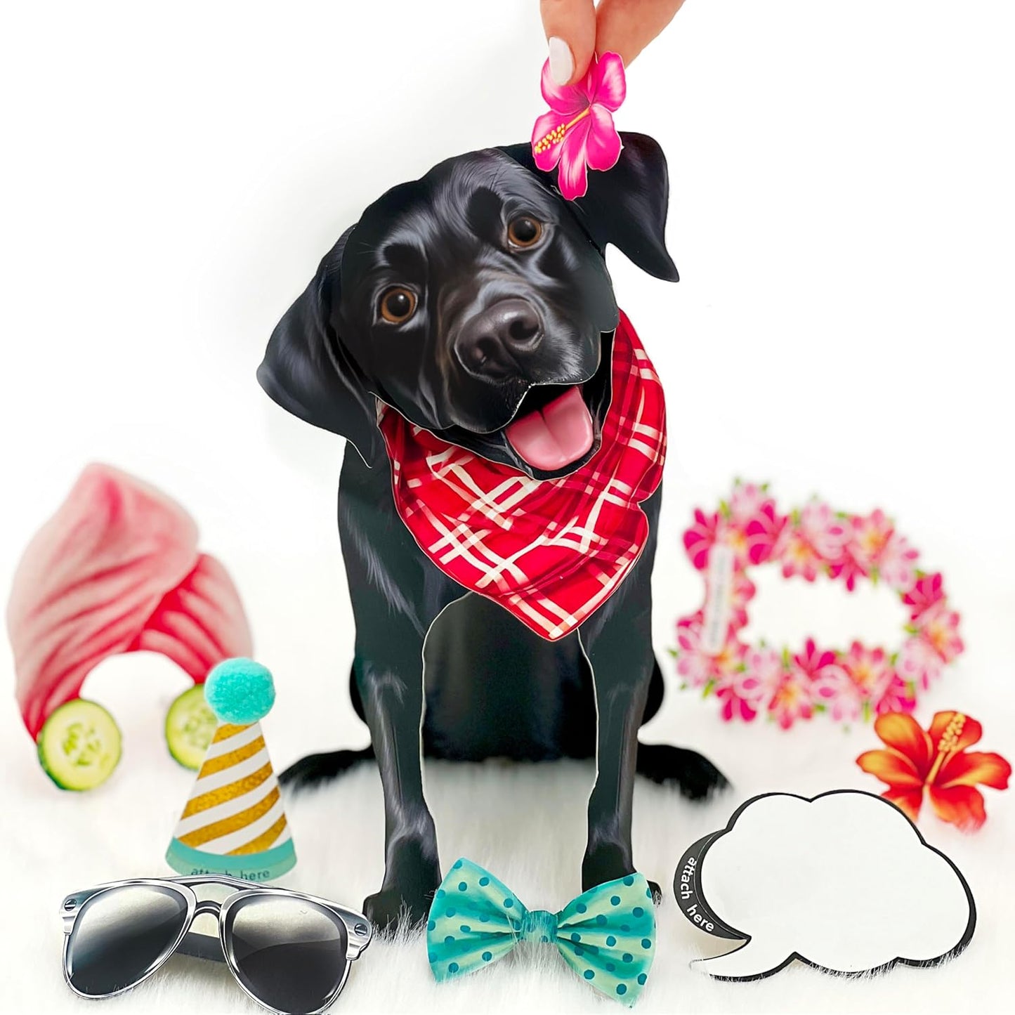 Black Lab FreshCut Paper - Pop Up Pet Card