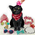 Black Cat FreshCut Paper - Pop Up Pet Card