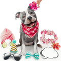 Pitbull FreshCut Paper - Pop Up Pet Card