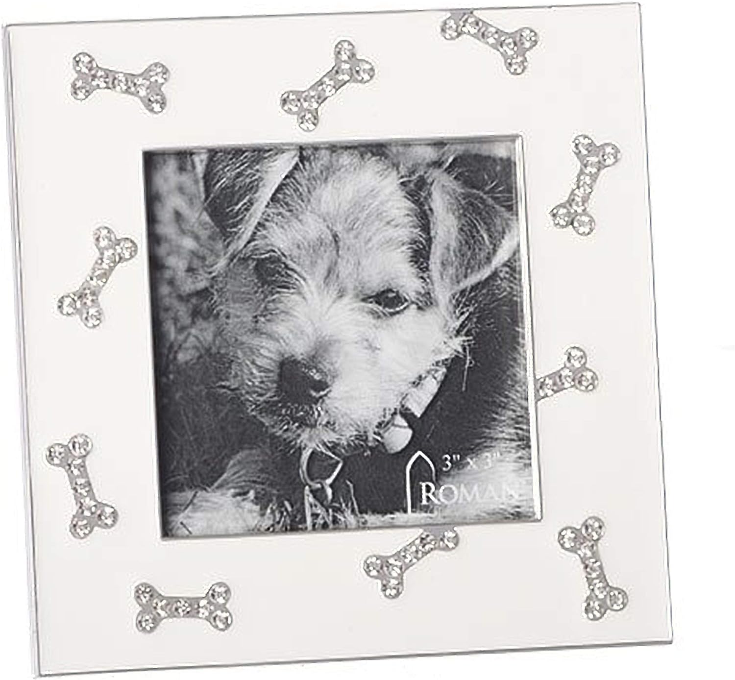 Dog Bone Photo Frame