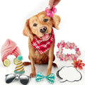 Golden Retriever FreshCut Paper - Pop Up Pet Card