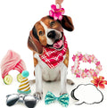 Beagle FreshCut Paper - Pop Up Pet Card