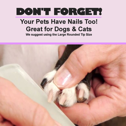 Arizona Cactus Southwest Handpainted Czech Crystal Nail File: Small